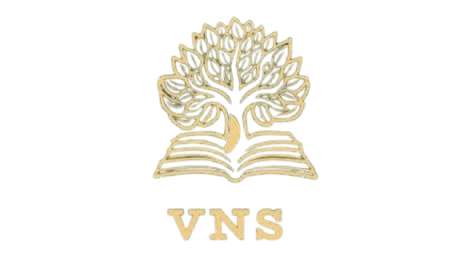 VNS Publication Logo